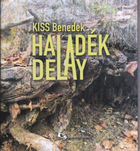 Haladék - Delay termékhez kapcsolódó kép