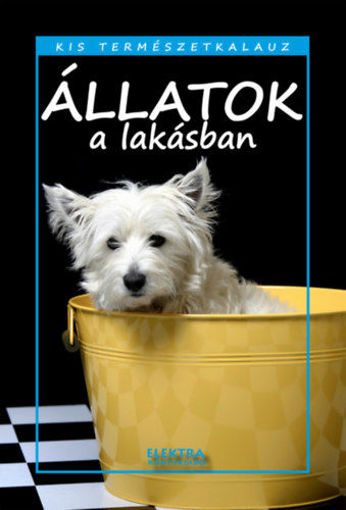 Állatok a lakásban termékhez kapcsolódó kép
