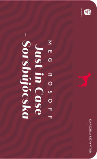 Just in Case - Sorsbújócska termékhez kapcsolódó kép