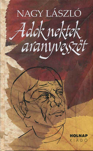 Beregvármegye monographiája I-III. termékhez kapcsolódó kép
