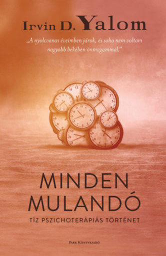 Minden mulandó - Tíz pszichoterápiás történet termékhez kapcsolódó kép