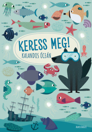 Kalandos óceán - Keress meg! termékhez kapcsolódó kép