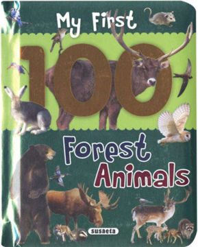 My First 100 Words - Forest Animals termékhez kapcsolódó kép