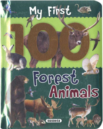My First 100 Words - Forest Animals termékhez kapcsolódó kép