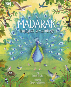 A madarak lenyűgöző sokszínűsége termékhez kapcsolódó kép