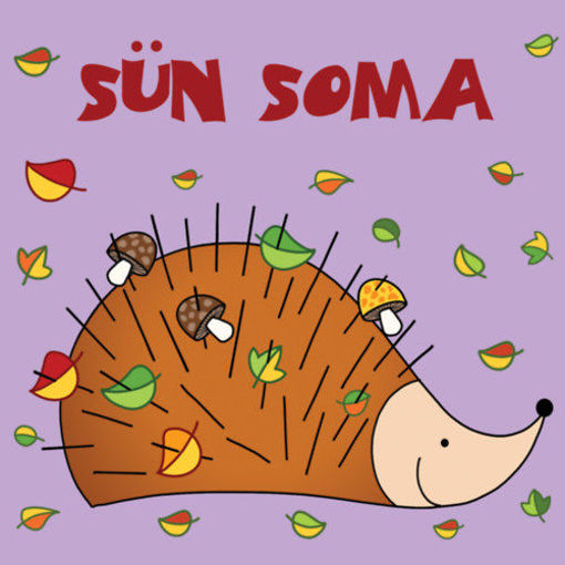 Sün Soma termékhez kapcsolódó kép