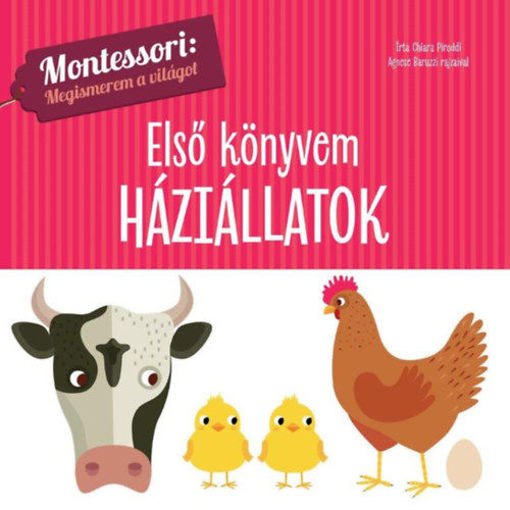 Első könyvem - Háziállatok - Montessori: Megismerem a világot termékhez kapcsolódó kép