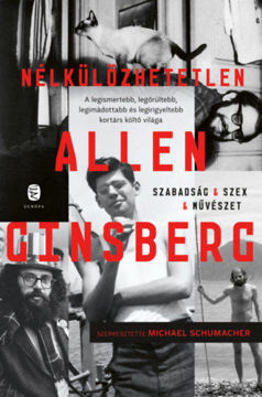Nélkülözhetetlen Allen Ginsberg termékhez kapcsolódó kép