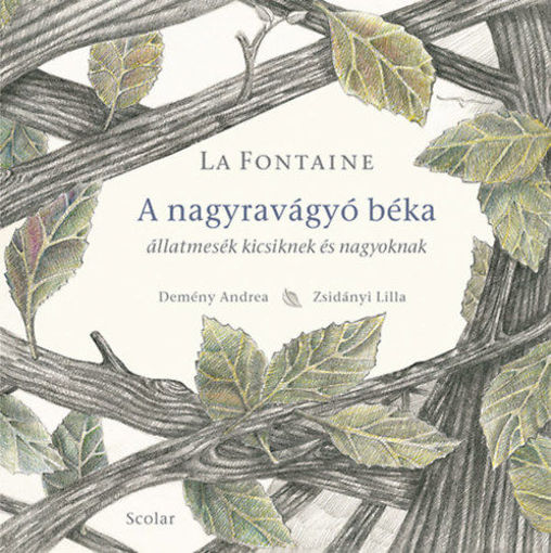 A nagyravágyó béka - Állatmesék kicsiknek és nagyoknak termékhez kapcsolódó kép