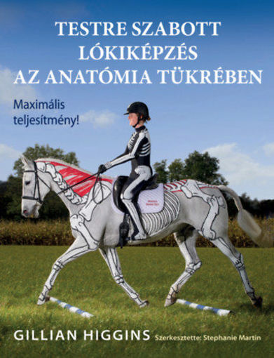 Testre szabott lókiképzés az anatómia tükrében termékhez kapcsolódó kép