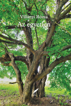 Az egyetlen termékhez kapcsolódó kép