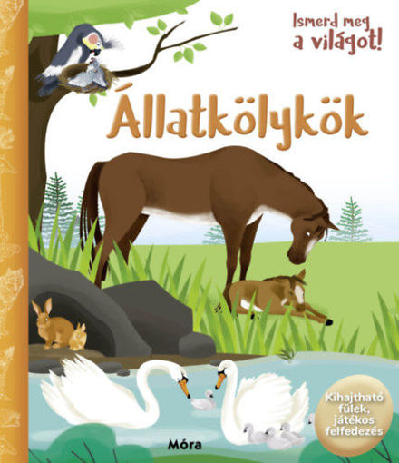 Ismerd meg a világot! - Állatkölykök termékhez kapcsolódó kép