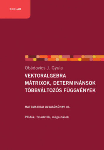 Vektoralgebra; mátrixok, determinánsok;  többváltozós függvények - Matematikai olvasókönyv III. - Példák, feladatok, megoldások termékhez kapcsolódó kép