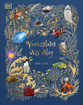 Varázslatos vízi világ termékhez kapcsolódó kép