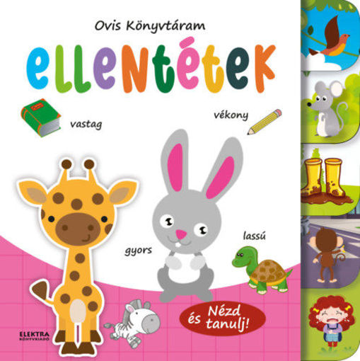 Ellentétek - Nézd és tanulj termékhez kapcsolódó kép