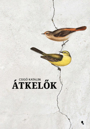 Átkelők termékhez kapcsolódó kép