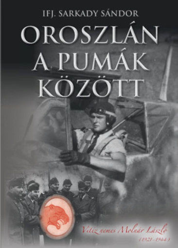 Oroszlán a pumák között termékhez kapcsolódó kép