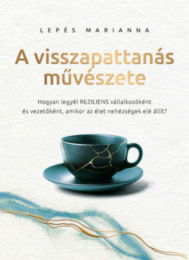 A visszapattanás művészete - Hogyan legyél reziliens vállalkozóként és vezetőként, amikor az élet nehézségek elé állít? termékhez kapcsolódó kép