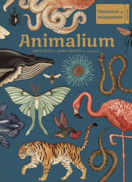Animalium - Üdvözlünk a múzeumban! termékhez kapcsolódó kép