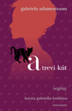 A trevi-kút termékhez kapcsolódó kép