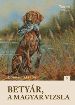 Betyár, a magyar vizsla termékhez kapcsolódó kép