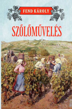 Szőlőművelés termékhez kapcsolódó kép