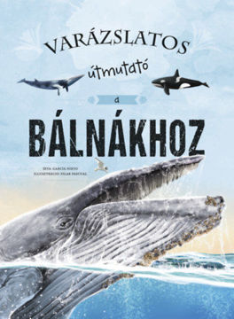 Varázslatos útmutató a bálnákhoz termékhez kapcsolódó kép