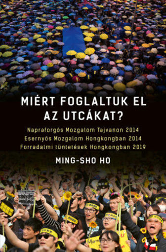 Miért foglaltuk el az utcákat? termékhez kapcsolódó kép