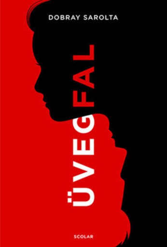 Üvegfal termékhez kapcsolódó kép