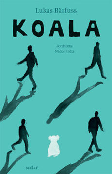 Koala termékhez kapcsolódó kép