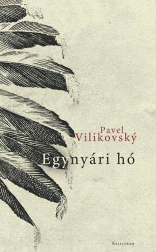 Egynyári hó termékhez kapcsolódó kép