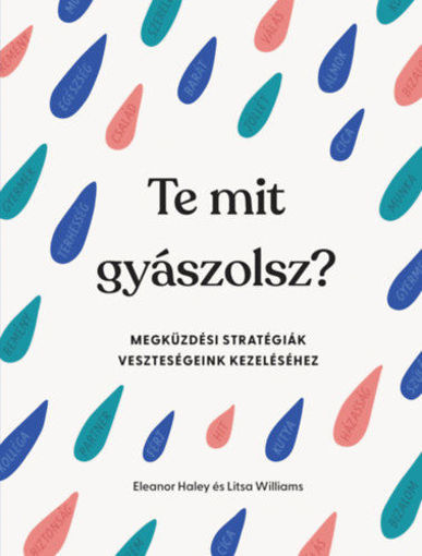 Te mit gyászolsz? - Megküzdési stratégiák veszteségeink kezeléséhez termékhez kapcsolódó kép