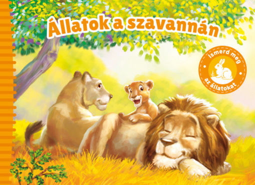 Állatok a szavannán termékhez kapcsolódó kép