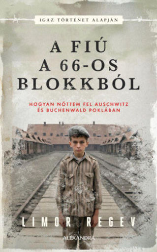 A fiú a 66-os blokkból termékhez kapcsolódó kép