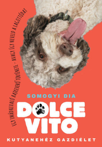 Dolce Vito - Kutyanehéz gazdiélet termékhez kapcsolódó kép