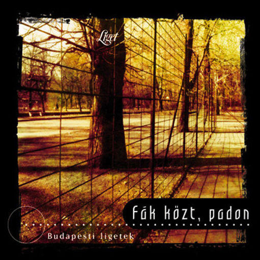 Fák közt, padon - Budapesti ligetek - Budapesti ligetek termékhez kapcsolódó kép
