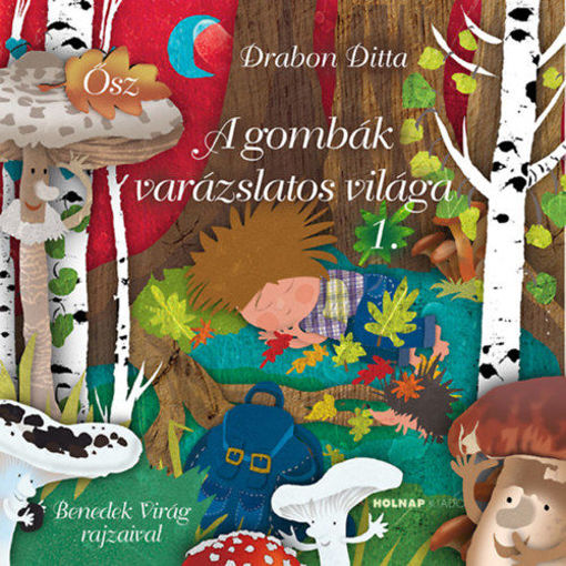 A gombák varázslatos világa termékhez kapcsolódó kép