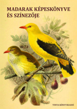 Madarak képeskönyve és színezője termékhez kapcsolódó kép