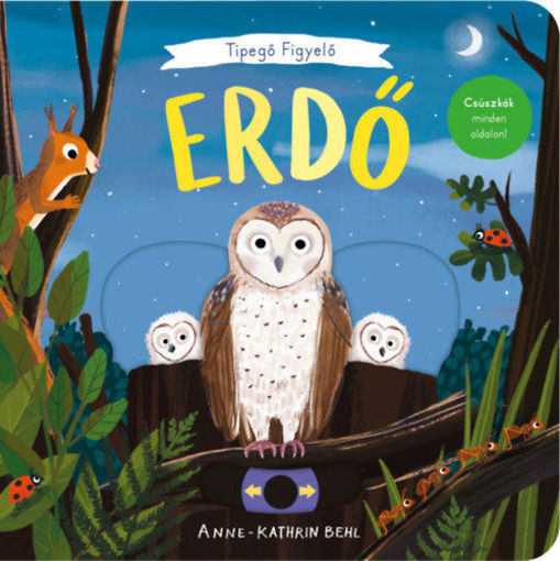 Tipegő figyelő - Erdő - Csúszkák minden oldalon termékhez kapcsolódó kép