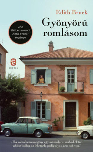 Gyönyörű romlásom termékhez kapcsolódó kép