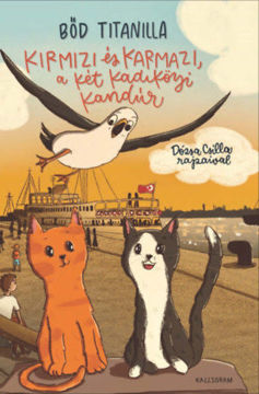 Kirmizi és Karmazi, a két kadiköyi kandúr termékhez kapcsolódó kép