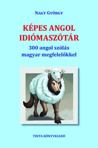 Képes angol idiómaszótár - 300 angol szólás magyar megfelelőkkel termékhez kapcsolódó kép