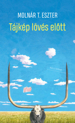 Tájkép lövés előtt termékhez kapcsolódó kép