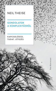 Gondolatok a komplexitásról - Kapcsolódás, tudat, létezés termékhez kapcsolódó kép