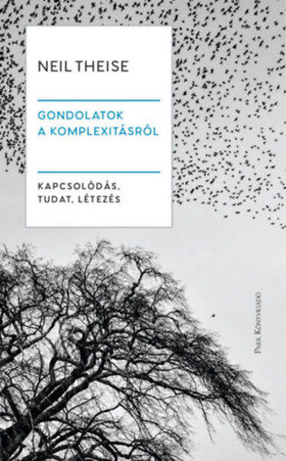 Gondolatok a komplexitásról - Kapcsolódás, tudat, létezés termékhez kapcsolódó kép