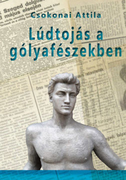 Lúdtojás a gólyafészekben termékhez kapcsolódó kép