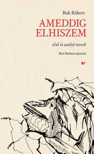 Ameddig elhiszem - Első és utolsó versek termékhez kapcsolódó kép