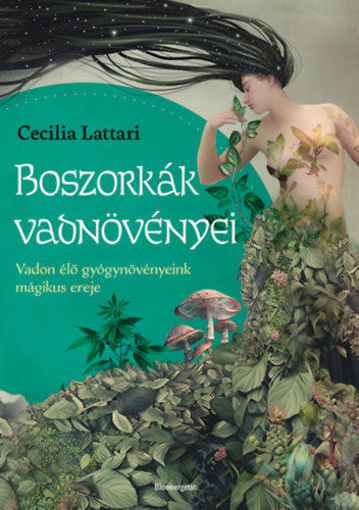 Boszorkányok vadnövényei - Vadon élő gyógynövényeink mágikus ereje termékhez kapcsolódó kép