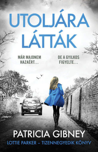 Utoljára látták - Lottie Parker 14. termékhez kapcsolódó kép