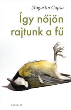 Így nőjön rajtunk a fű termékhez kapcsolódó kép